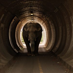 In the quiet of the night